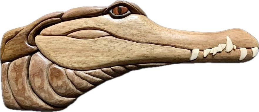 Type a description of this image